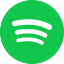 Spotify icon